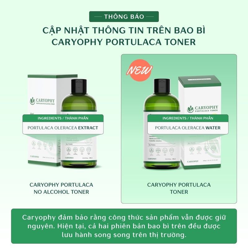 Nước Hoa Hồng Caryophy Chăm Sóc Da Dầu Mụn Portulaca Toner 300ml