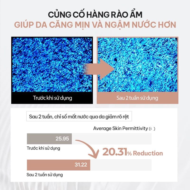 Nước Hoa Hồng Hỗ Trợ Dưỡng Sáng, Mờ Nếp Nhăn B.O.M Snail Mucin Power Toner 150ml