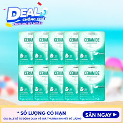 10 MIẾNG CERAMIDE