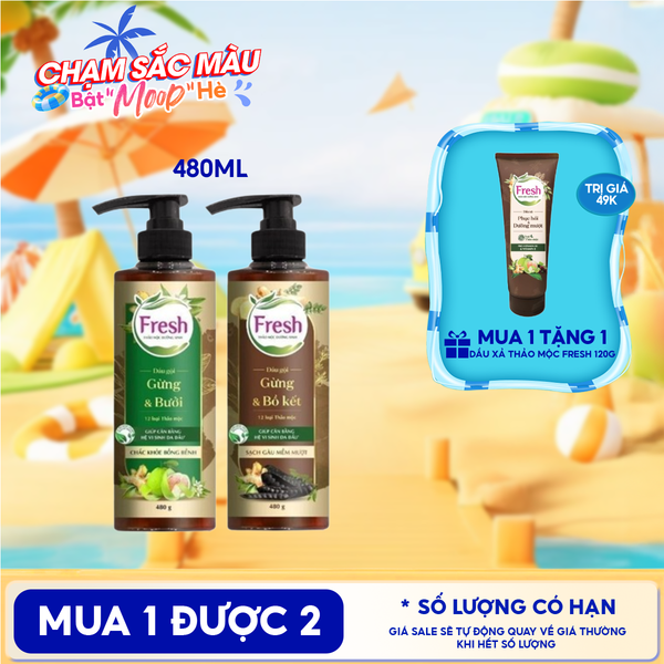  Dầu Gội Fresh Thảo Mộc Dưỡng Sinh 480g 