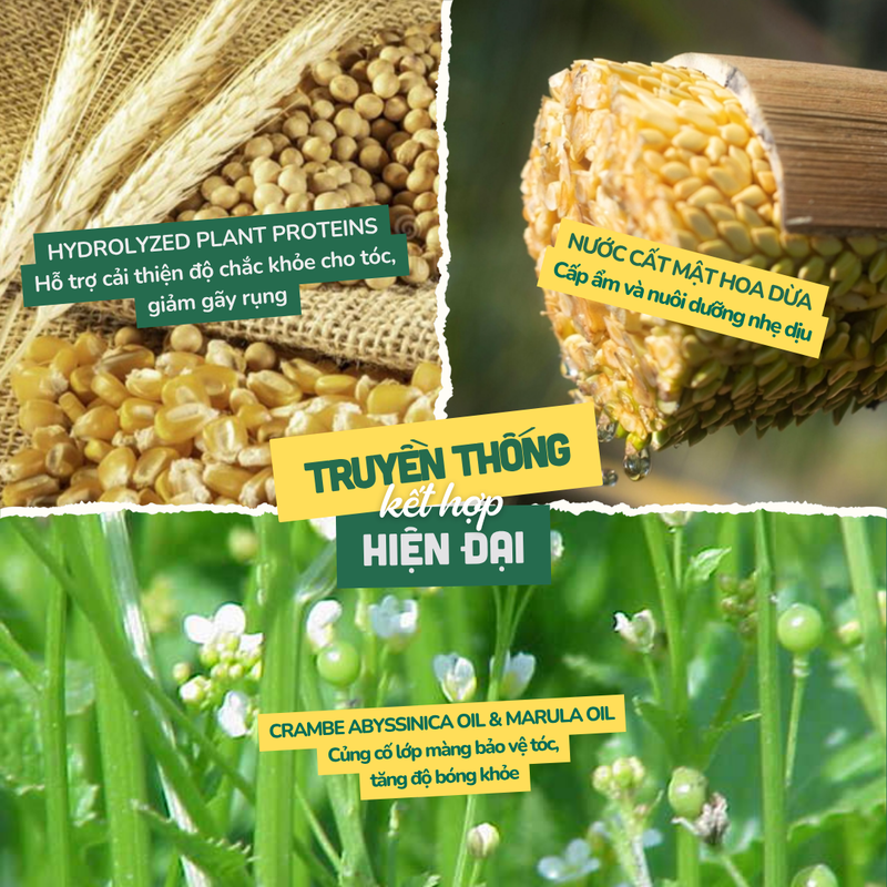 Nước Dưỡng Tóc Hỗ Trợ Giảm Gãy Rụng, Phục Hồi Hư Tổn COBOTÉ Coco Miracle Perfume Hair Mist
