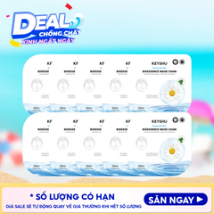 10 MIẾNG HOA CÚC