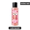 LUSH BLOOM - KHÔNG NHŨ