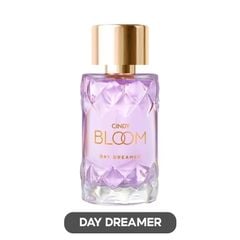 DAY DREAMER