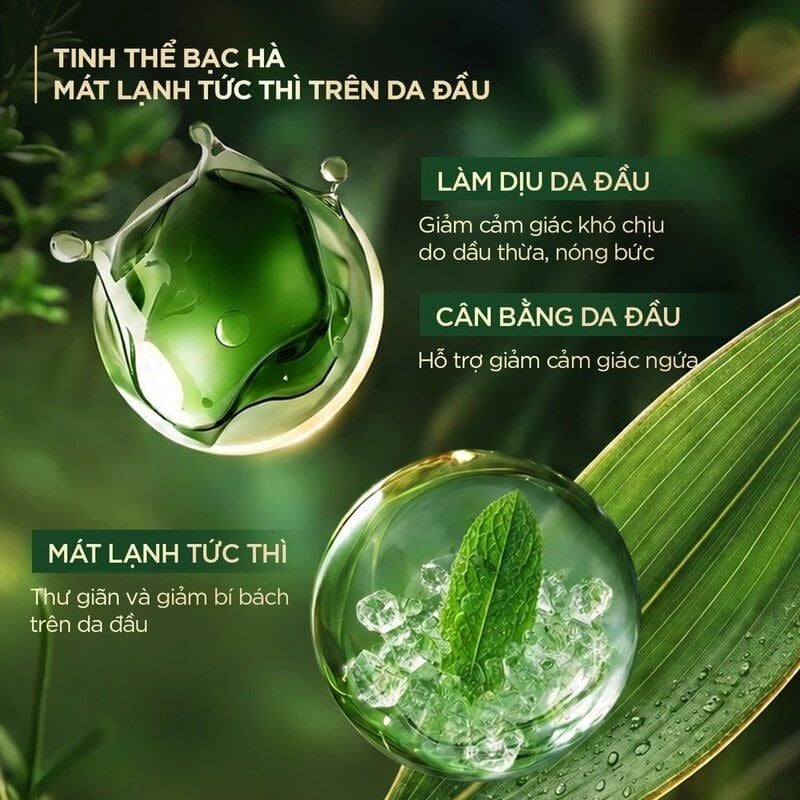 Dầu Gội Fresh Natural Chiết Xuất Tre Hỗ Trợ Giảm Gàu, Phục Hồi Tóc Hư Tổn & Bồng Bềnh Tóc 650g