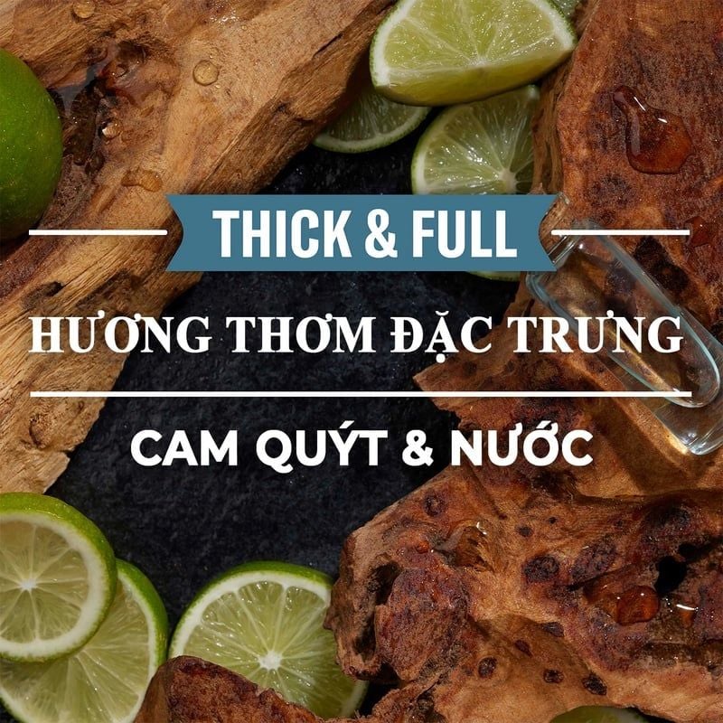 Dầu Gội Xả 2in 1 Old Spice 2In1 Shampoo & Conditioner 650ml