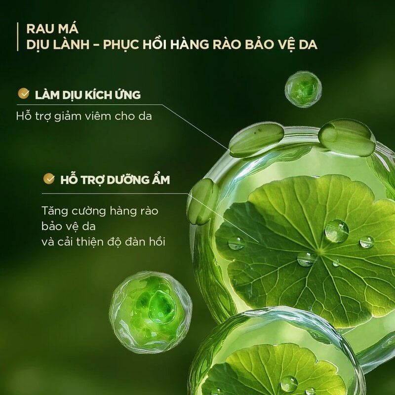 Sữa Tắm Fresh Natural Chiết Xuất Tre Hỗ Trợ Làm Sạch, Duy Trì Độ Đàn Hồi Và Giúp Da Mềm Mịn 700g