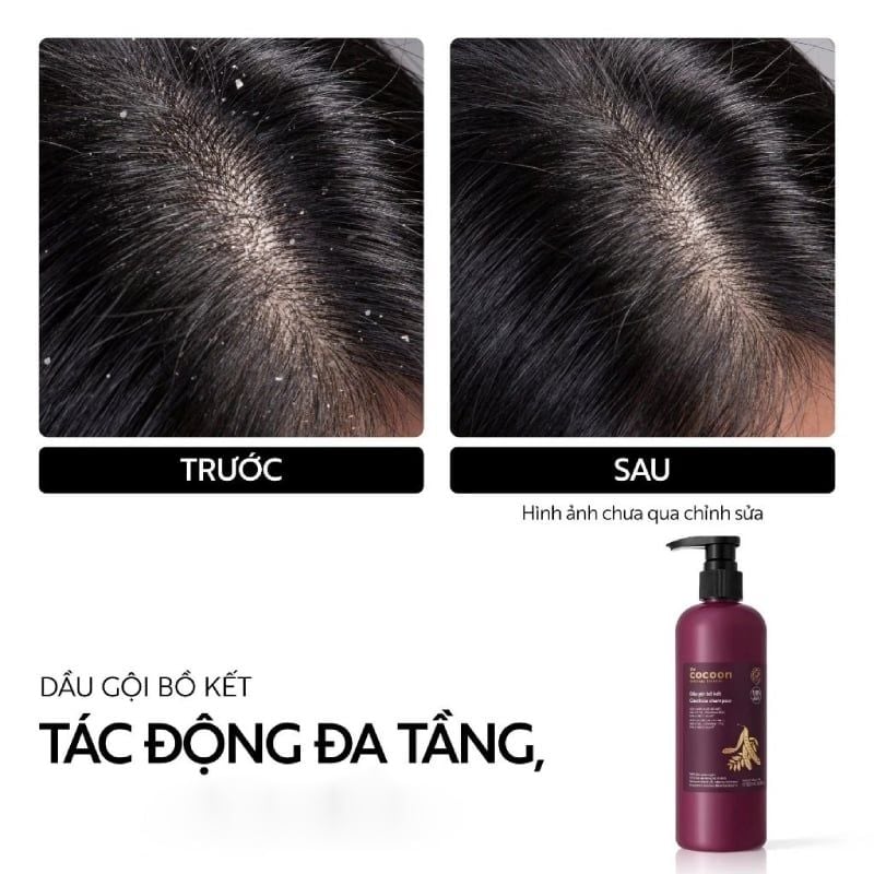 Dầu Gội Bồ Kết Cocoon Gleditsia Shampoo