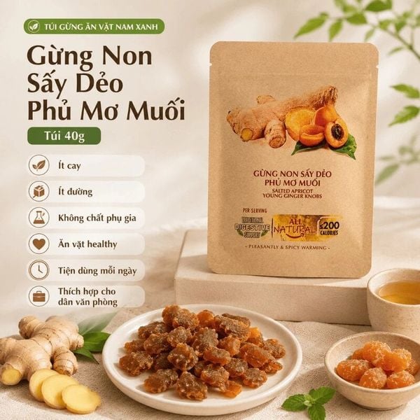  Gừng Non Sấy Dẻo Phủ Mơ Muối Nam Xanh JSC 40g 