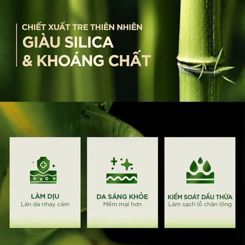 Sữa Tắm Fresh Natural Chiết Xuất Tre Hỗ Trợ Làm Sạch, Duy Trì Độ Đàn Hồi Và Giúp Da Mềm Mịn 700g