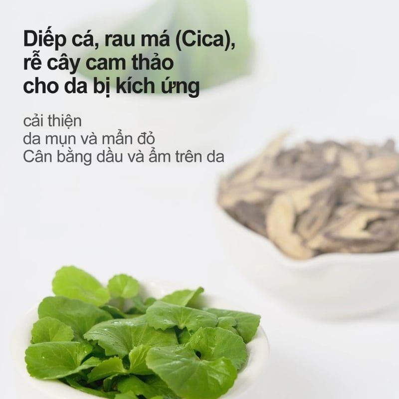 Nước Hoa Hồng Làm Dịu Da numbuzin No.1 Pure-Full Calming Herb Toner 300ml