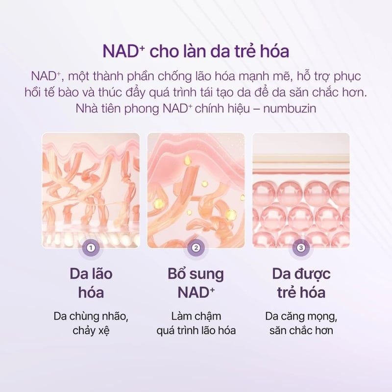 Tinh Chất numbuzin Hỗ Trợ Cải Thiện Lão Hóa Da No.9 NAD Bio Lifting Essence 50ml