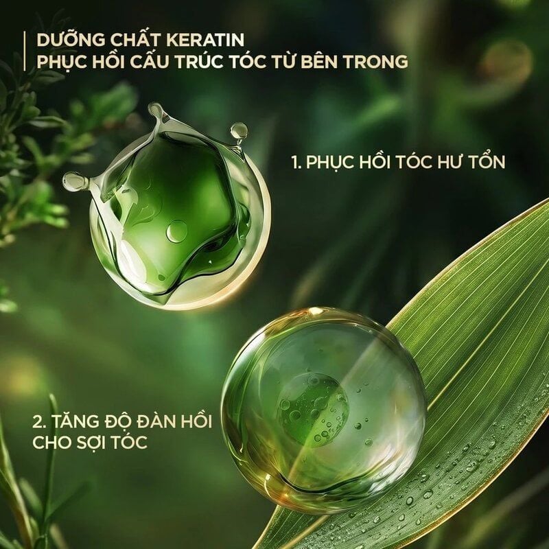 Dầu Gội Fresh Natural Chiết Xuất Tre Hỗ Trợ Giảm Gàu, Phục Hồi Tóc Hư Tổn & Bồng Bềnh Tóc 650g