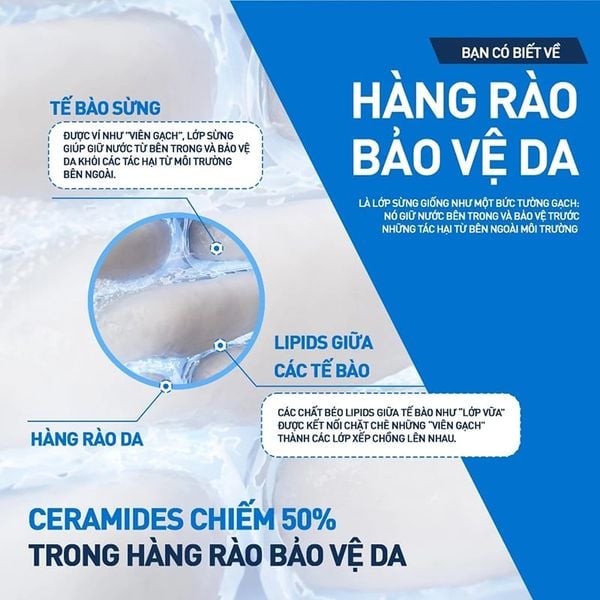  Sữa Dưỡng Chống Nắng Cerave Hỗ Trợ Phục Hồi Da Facial Moisturising Lotion AM 52ml 