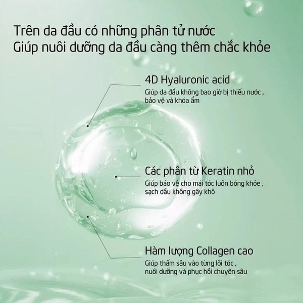  Dầu Gội Khô SPES Dạng Gel Hút Dầu Thừa Và Làm Phồng Tóc Dry Shampoo Lotion For Oil-Control And Fluffy Hair 80ml 