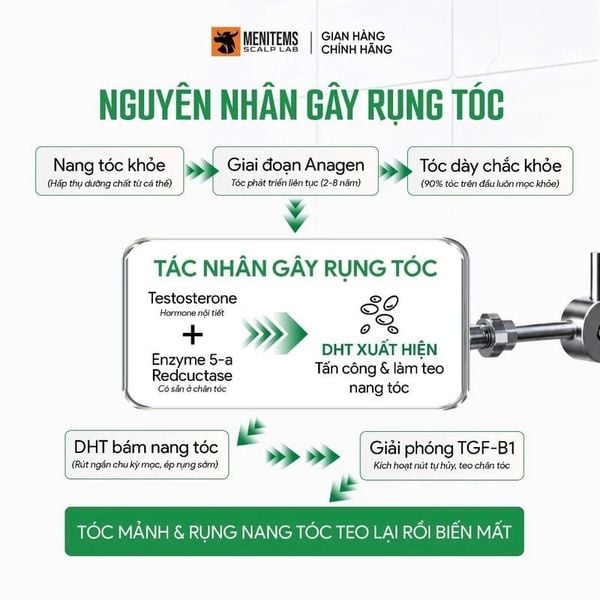  Dầu Gội Menitems Hỗ Trợ Giảm Rụng Tóc Táo Xanh Green Apple Hair Fall Control 300ml 
