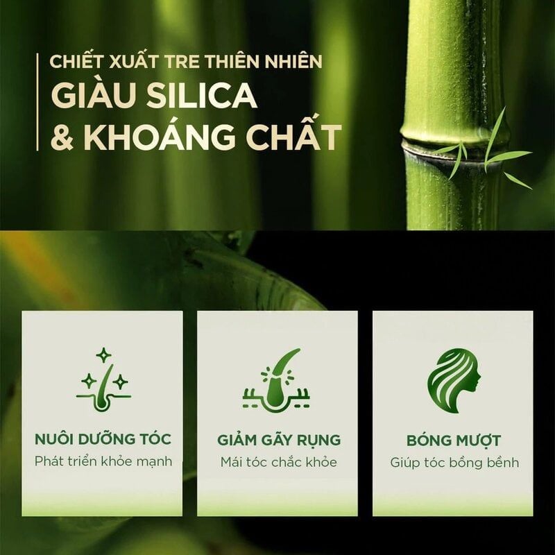 Dầu Gội Fresh Natural Chiết Xuất Tre Hỗ Trợ Giảm Gàu, Phục Hồi Tóc Hư Tổn & Bồng Bềnh Tóc 650g