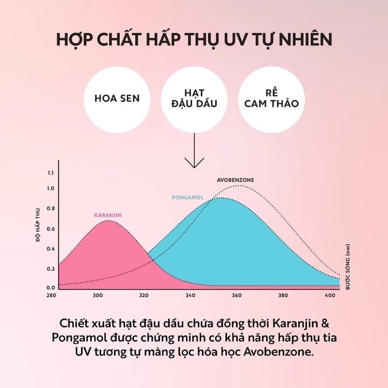 Sữa Chống Nắng Cocoon Vô Cơ Sen Hậu Giang Hau Giang Lotus Mineral Sun Fluid SPF 50+ PA++++