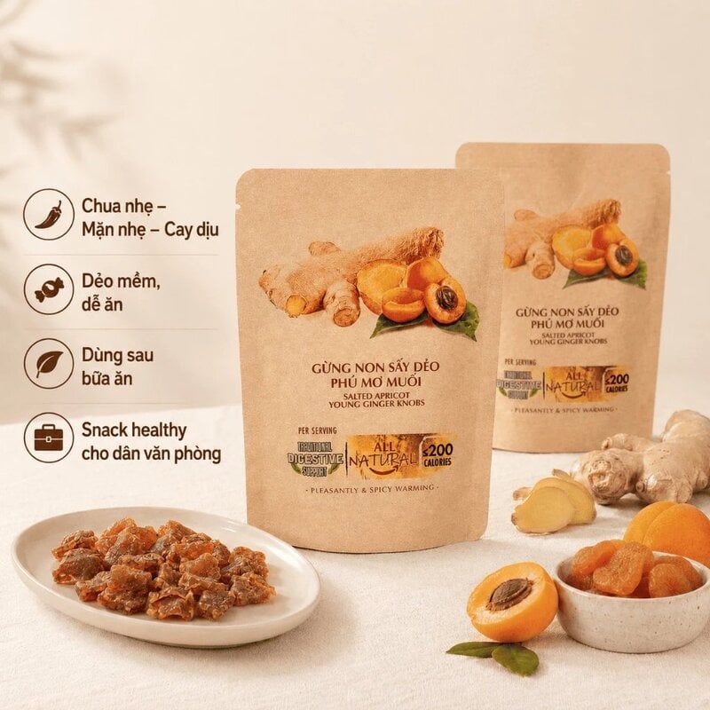 Gừng Non Sấy Dẻo Phủ Mơ Muối Nam Xanh JSC 40g