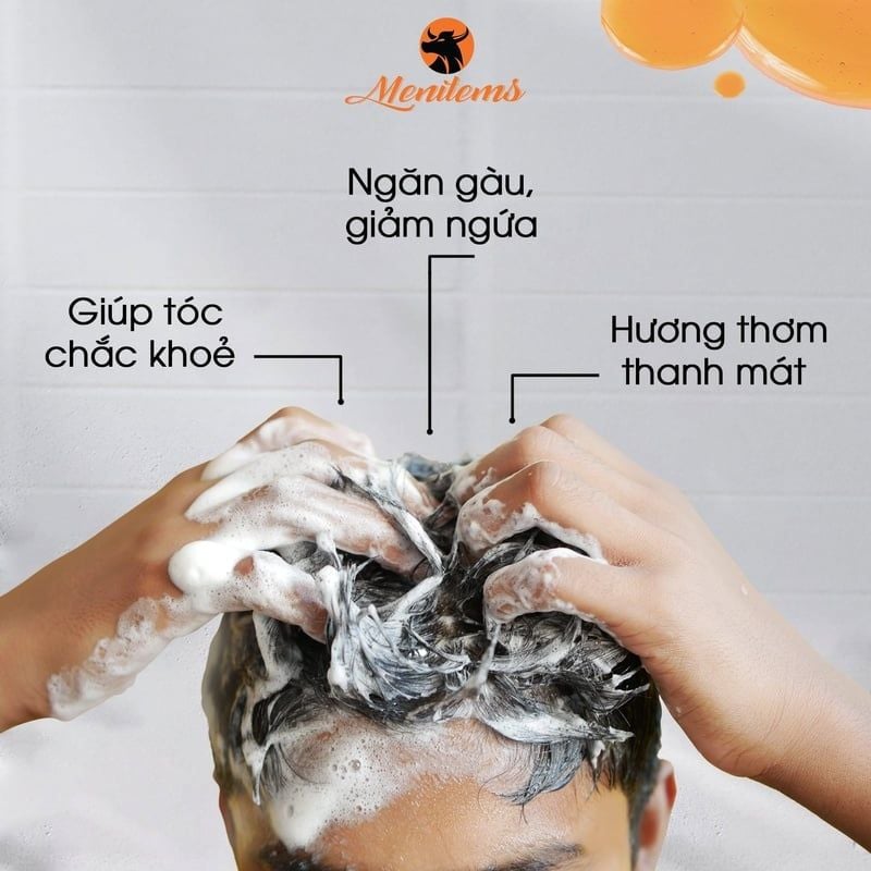 Dầu Gội Nam Menitems Hỗ Trợ Làm Sạch Gàu Ngứa Anti-Dandruff Shampoo