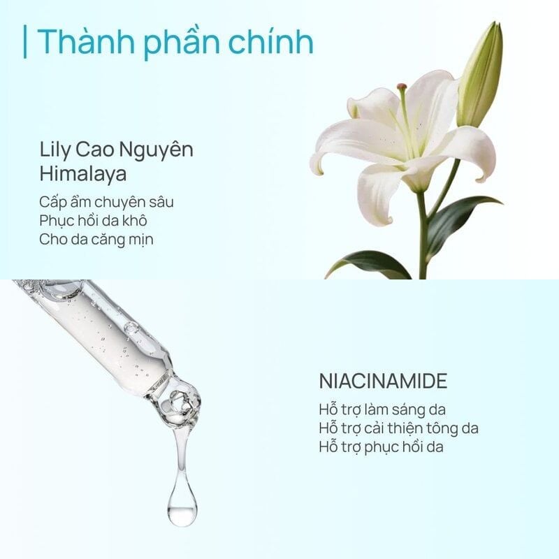 Kem Dưỡng Chando Himalaya Nâng Tone Hỗ Trợ Dưỡng Sáng Da Whitening Tone-Up Cream SPF20 PA++ 50g