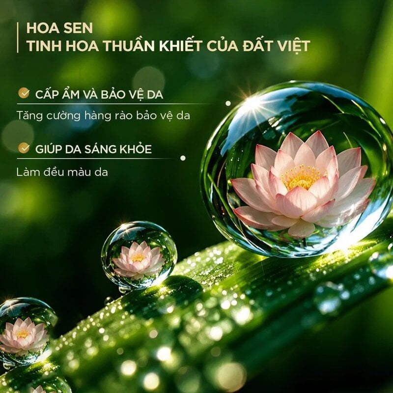 Sữa Tắm Fresh Natural Chiết Xuất Tre Hỗ Trợ Làm Sạch, Duy Trì Độ Đàn Hồi Và Giúp Da Mềm Mịn 700g
