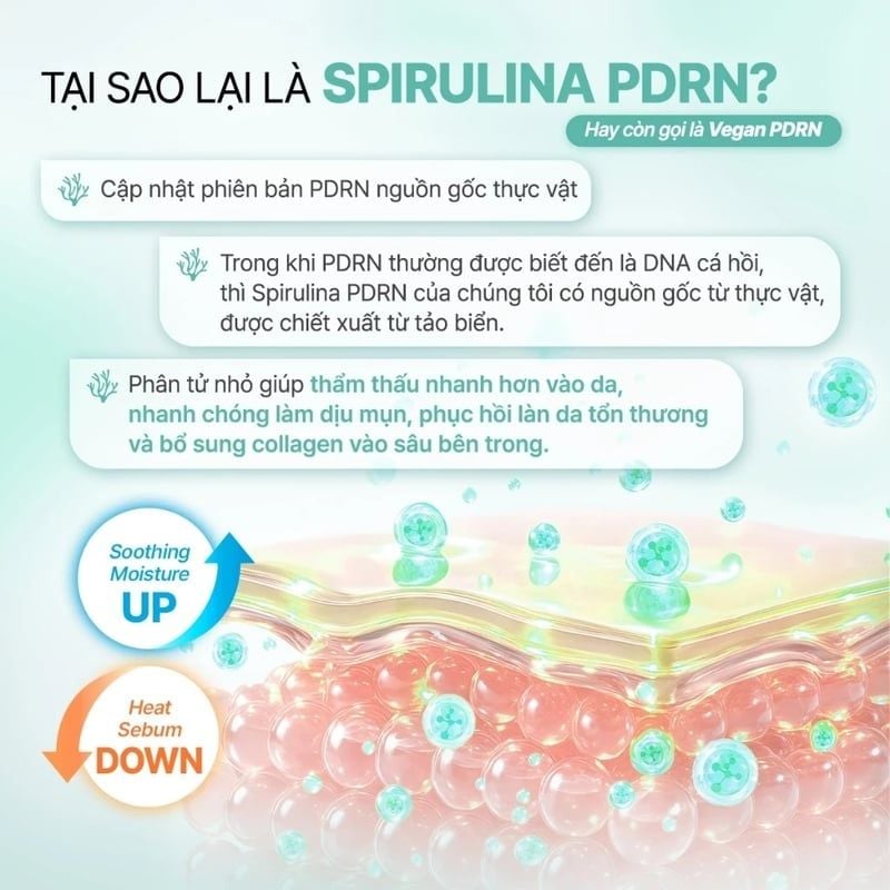 Serum Some By Mi Làm Dịu Da Mụn, Hỗ Trợ Phục Hồi PDRN Spirulina Soothing Repair Serum 50ml