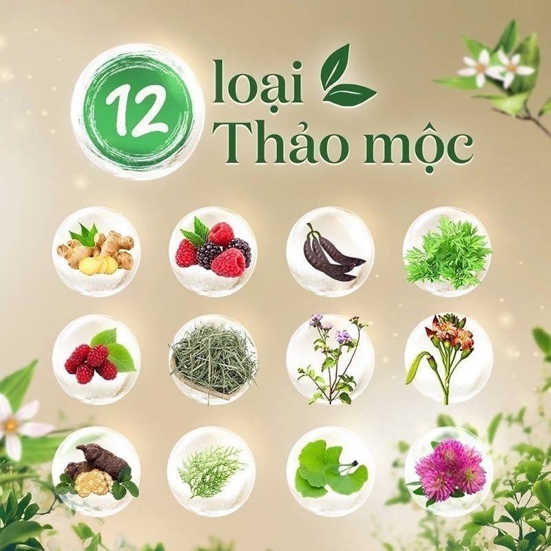 Dầu Gội Fresh Thảo Mộc Dưỡng Sinh 480g
