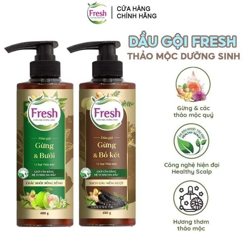 Dầu Gội Fresh Thảo Mộc Dưỡng Sinh 480g