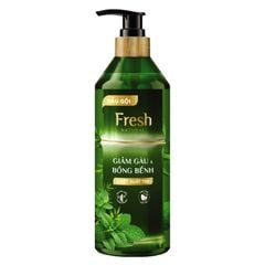 GIẢM GÀU & BỒNG BỀNH TÓC