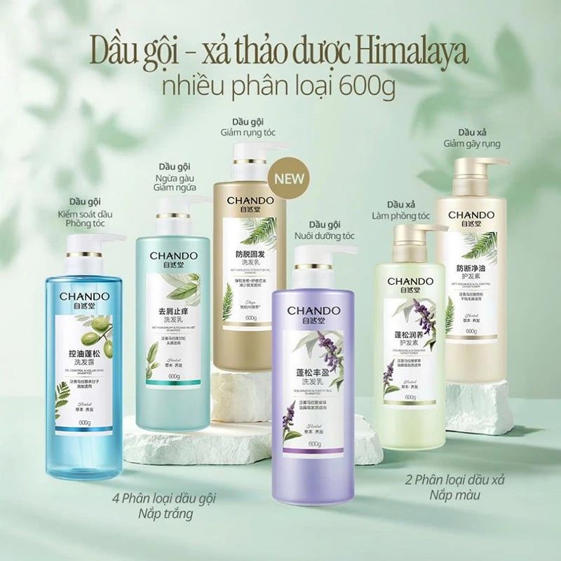 Dầu Gội, Dầu Xả Chando Himalaya Thảo Dược Làm Sạch, Làm Phồng Tóc Kiểm Soát Dầu, Ngăn Ngừa Rụng Tóc 600ml
