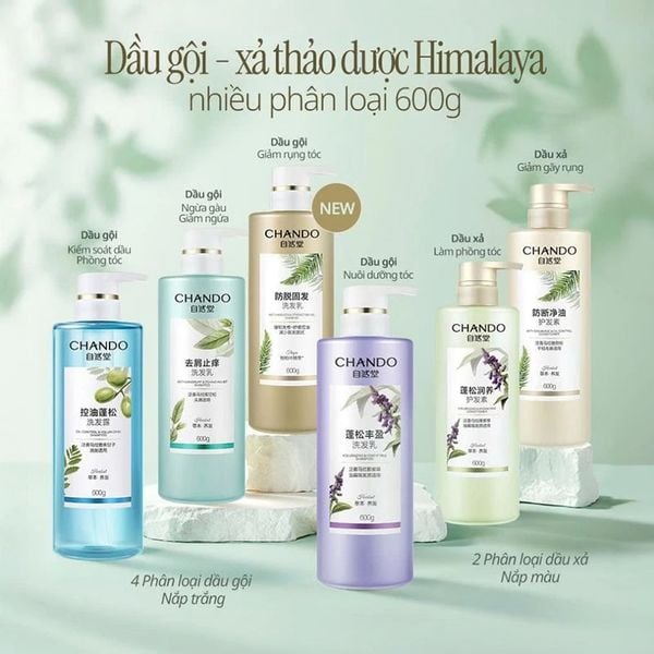  Dầu Gội, Dầu Xả Chando Himalaya Thảo Dược Làm Sạch, Làm Phồng Tóc Kiểm Soát Dầu, Ngăn Ngừa Rụng Tóc 600ml 