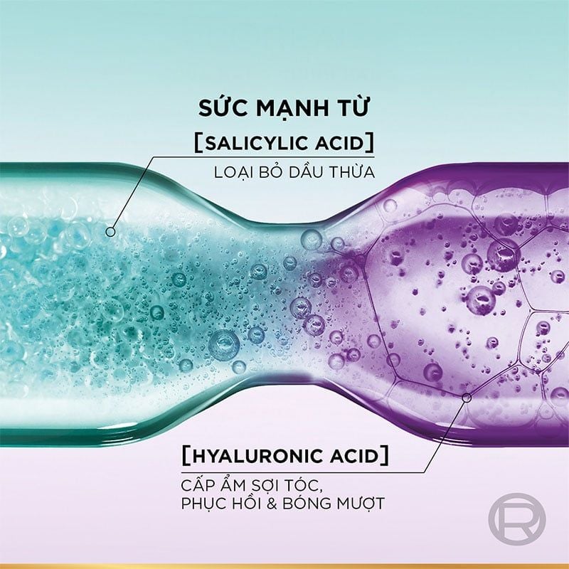 Dầu Gội, Dầu Xả Dưỡng Tóc Phồng Bồng Bềnh Cho Da Đầu Dầu & Thường L'oreal Elseve Hyaluron Pure 72H