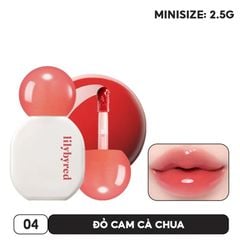 MINISIZE 04