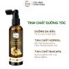 COMBO GỘI XẢ + TC DƯỠNG