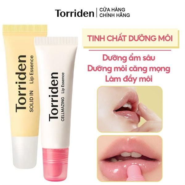  Tinh Chất Dưỡng Môi Torriden Căng Mọng, Cấp Ẩm Solid-In Lip Essence 11ml 