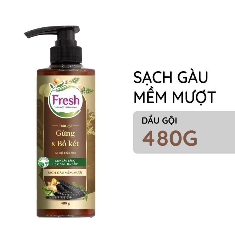 Dầu Gội Fresh Thảo Mộc Dưỡng Sinh 480g