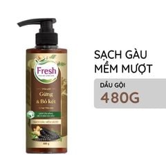 GỪNG & BỒ KẾT
