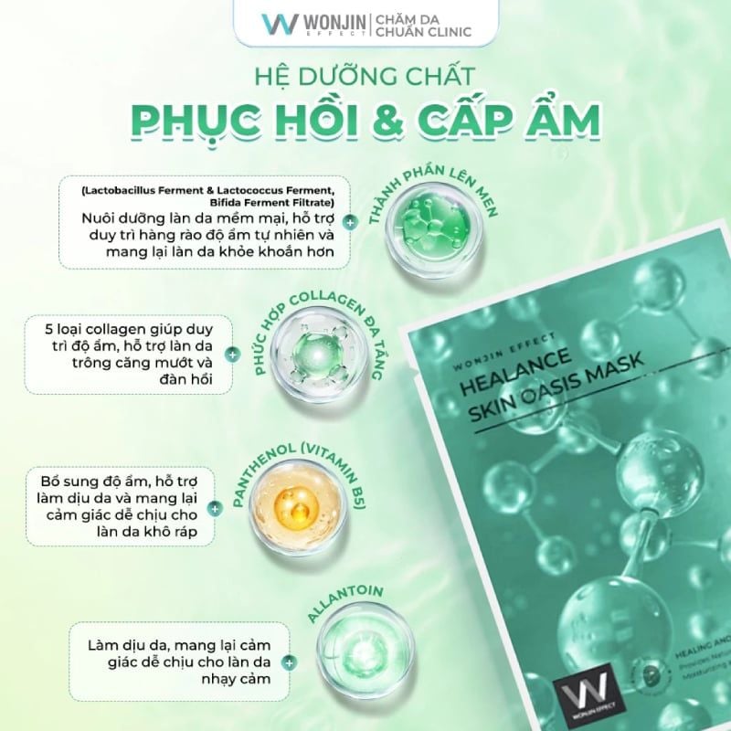 Mặt Nạ Cấp Ẩm, Dưỡng Sáng, Phục Hồi Da Wonjin Effect Healance Flash Glow Mask