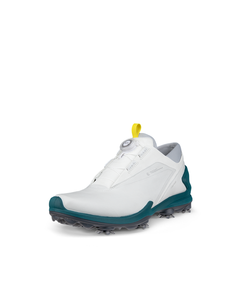 Giày golf nam ECCO M Golf Biom Tour 13191401007 | ECCO