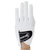 Găng tay golf nam Solotex Glove GGG-S028 (White) | Srixon