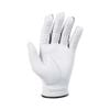Găng tay golf PLAYER FLEX màu ngọc trai | Titleist