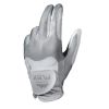Găng Tay Golf Flex SILVER/ WHITE RH | Stan