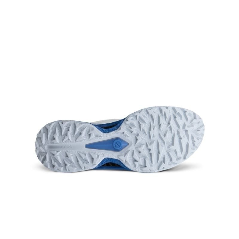Giày Golf Nam Ecco M Golf Biom C5 Boa GTX 2026 -13261461583 | ECCO