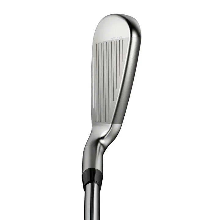Bộ gậy sắt DS-ADAPT MAX | Cobra