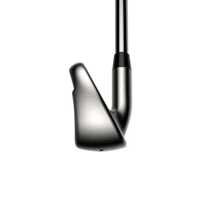 Bộ gậy sắt DS-ADAPT MAX | Cobra