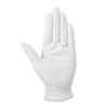 Găng tay golf nữ 25 MIZUNOPRO LADIES WHITE 5MJWL45301 | Mizuno