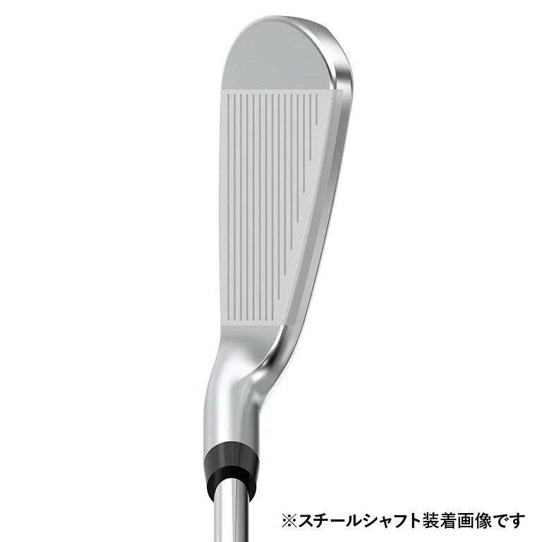 Bộ gậy sắt XX13 EKS | XXIO
