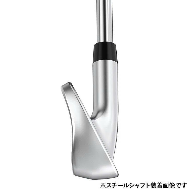 Bộ gậy sắt XX13 EKS | XXIO