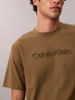 Calvin Klein - Áo Thun Tay Ngắn Nam Logo Graphic T-Shirt